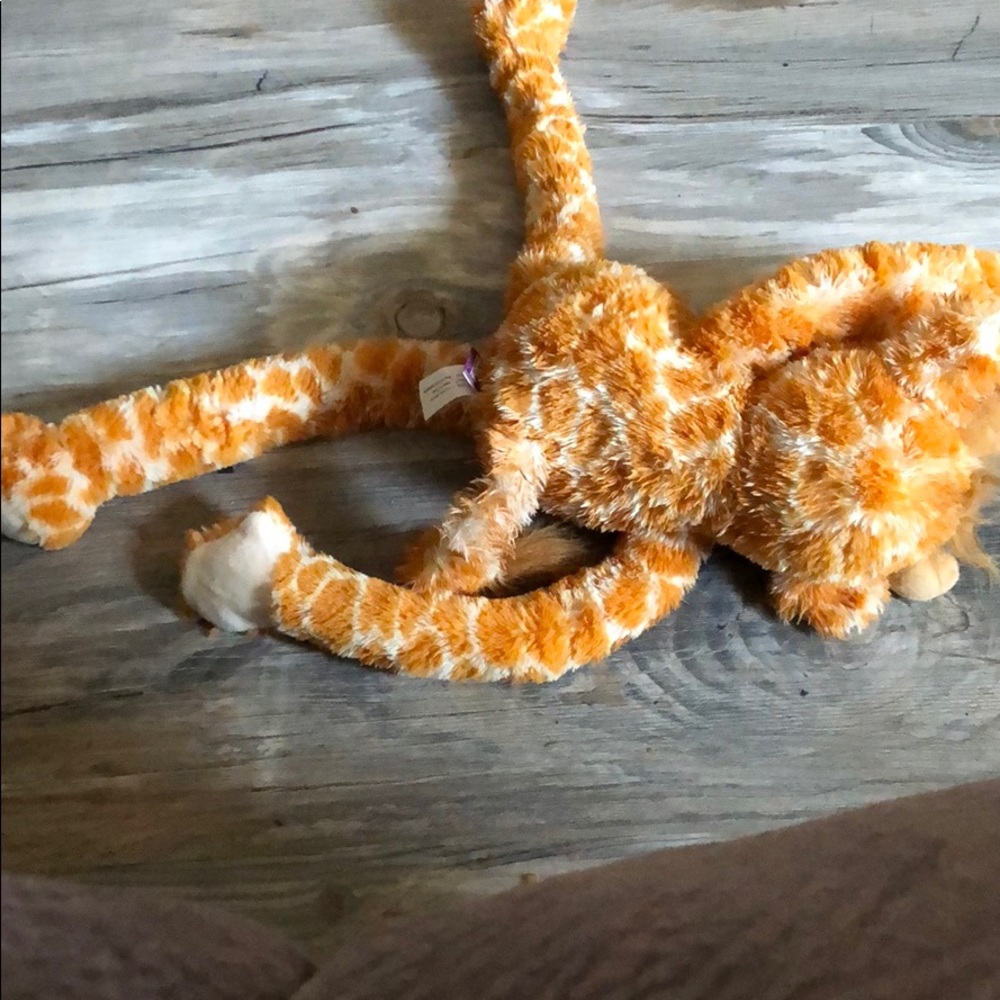 Meet your Posher, Poonam